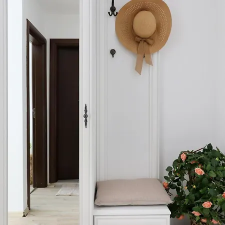 Stylish Paradiso 206 4*