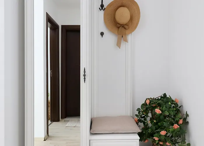 Stylish Paradiso 206 4*